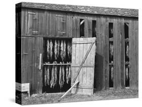 Tobacco Shed-John Collier-Stretched Canvas