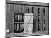 Tobacco Shed-John Collier-Mounted Photographic Print