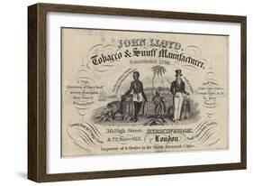 Tobacconist and Snuff Man, John Lloyd, Trade Card-null-Framed Giclee Print