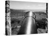 Tobago Cannon-null-Stretched Canvas