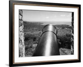 Tobago Cannon-null-Framed Photographic Print