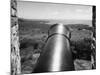 Tobago Cannon-null-Mounted Photographic Print