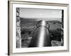 Tobago Cannon-null-Framed Photographic Print