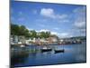 Tobermory, Argyll, Isle of Mull, Strathclyde, Scotland, United Kingdom, Europe-Renner Geoff-Mounted Photographic Print