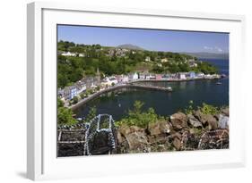 Tobermory, Isle of Mull, Argyll and Bute, Scotland-Peter Thompson-Framed Photographic Print