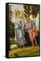 Tobias and the Angel, C.1475-1480-Filippino Lippi-Framed Stretched Canvas