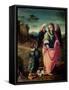 Tobias and the Angel-Francesco Ubertini Verdi Bachiacca-Framed Stretched Canvas