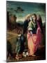 Tobias and the Angel-Francesco Ubertini Verdi Bachiacca-Mounted Giclee Print