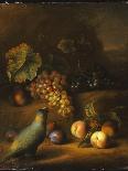 A Parrot with Grapes, Peaches and Plums in a Landscape-Tobias Stranover-Framed Giclee Print