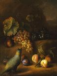 A Parrot with Grapes, Peaches and Plums in a Landscape-Tobias Stranover-Framed Giclee Print