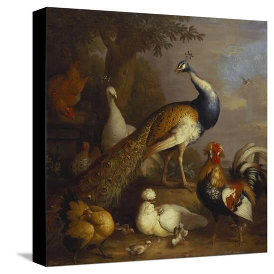 Stretched Canvas Print, , large