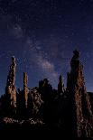 Illuminous Light Painted Landscape of Camping and Stars in Joshua Tree National Park-tobkatrina-Photographic Print