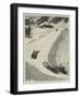 Tobogganing at St Moritz, Engadine, Switzerland-Henry Marriott Paget-Framed Giclee Print