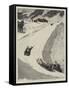 Tobogganing at St Moritz, Engadine, Switzerland-Henry Marriott Paget-Framed Stretched Canvas