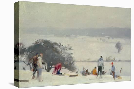 Tobogganing, the Meads, Hertford-Trevor Chamberlain-Stretched Canvas