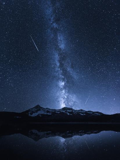 Premium Photographic Print, , large