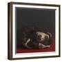 Toby Monkey, 2017,-Peter Jones-Framed Giclee Print