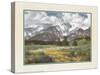 Tocky Mountains-unknown Sorenson-Stretched Canvas