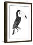 Toco black and white-Florent Bodart-Framed Giclee Print