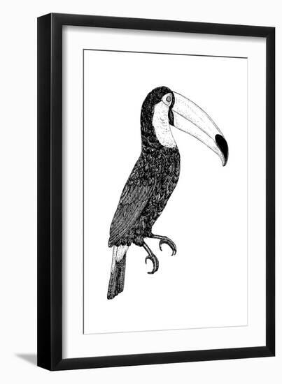 Toco black and white-Florent Bodart-Framed Giclee Print