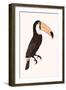 Toco Color version-Florent Bodart-Framed Giclee Print