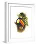 Toco Toucan-John Gould-Framed Art Print