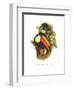 Toco Toucan-John Gould-Framed Premium Giclee Print