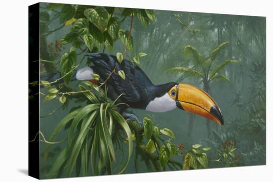 Toco Toucan-Michael Jackson-Stretched Canvas