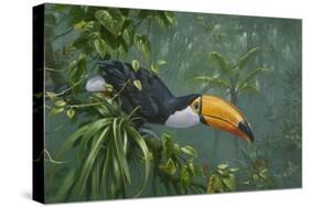 Toco Toucan-Michael Jackson-Stretched Canvas