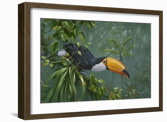 Toco Toucan-Michael Jackson-Framed Giclee Print