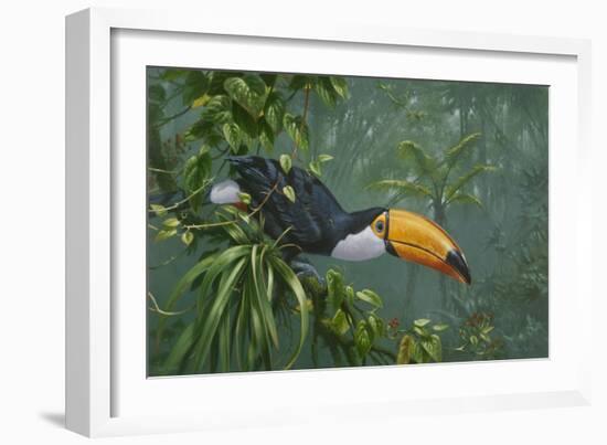 Toco Toucan-Michael Jackson-Framed Giclee Print