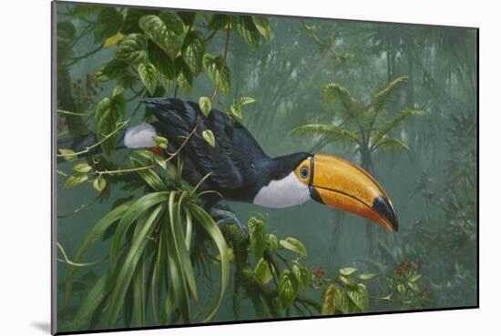 Toco Toucan-Michael Jackson-Mounted Giclee Print