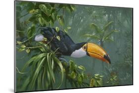 Toco Toucan-Michael Jackson-Mounted Giclee Print