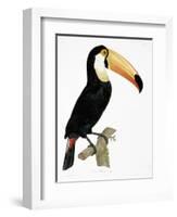 Toco-Jacques Barraband-Framed Giclee Print