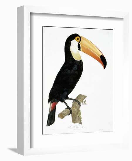 Toco-Jacques Barraband-Framed Giclee Print