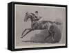 Tod Sloan, the Famous American Jockey-John Charlton-Framed Stretched Canvas