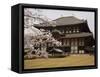 Todaiji Temple, UNESCO World Heritage Site, Nara, Japan-Richardson Rolf-Framed Stretched Canvas