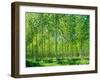 Today-Craig Roberts-Framed Photographic Print