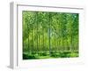 Today-Craig Roberts-Framed Photographic Print