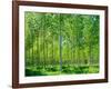 Today-Craig Roberts-Framed Photographic Print