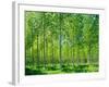 Today-Craig Roberts-Framed Photographic Print