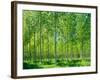 Today-Craig Roberts-Framed Photographic Print