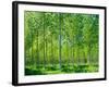 Today-Craig Roberts-Framed Photographic Print