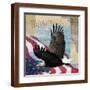 Brown Frame