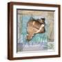 Brown Frame