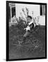 Toddler on a Period Tricycle, Ca. 1895-null-Framed Photographic Print