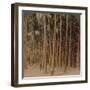 'Toddy palms 100 ft. tall, Pagan, Burma', 1907-Elmer Underwood-Framed Premium Photographic Print