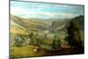 Todmorden Valley From Charlestown, 1860-John Holland-Mounted Giclee Print