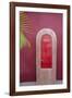 Todos Santos, Mexico. Red door in a red wall.-Julien McRoberts-Framed Photographic Print