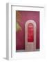 Todos Santos, Mexico. Red door in a red wall.-Julien McRoberts-Framed Photographic Print